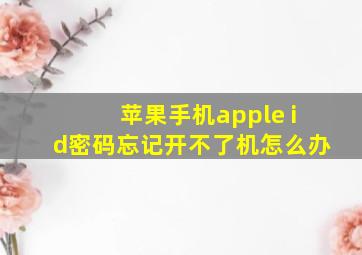 苹果手机apple id密码忘记开不了机怎么办